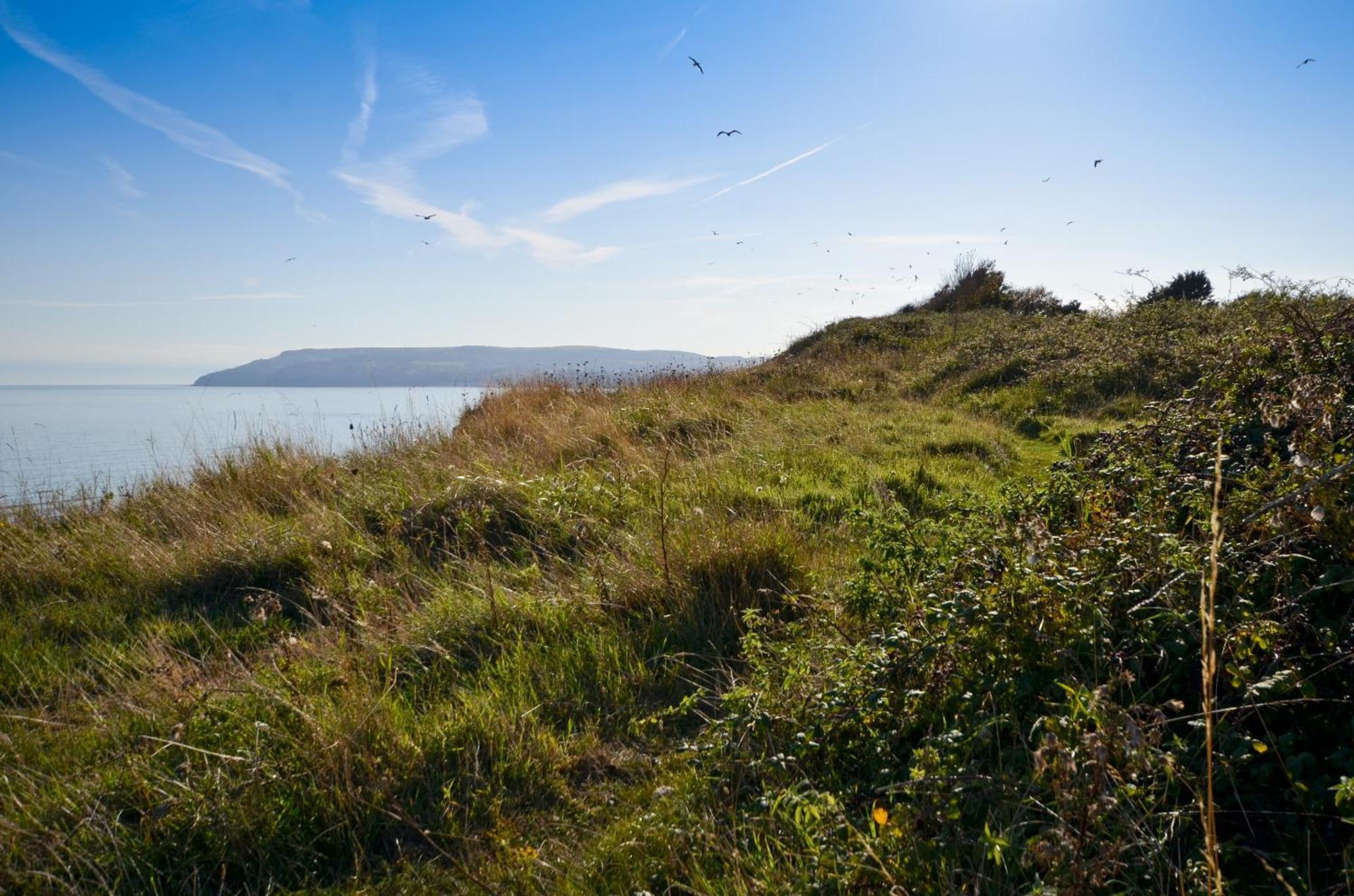 The Haven - Isle Of Wight Villa Sandown Oda fotoğraf